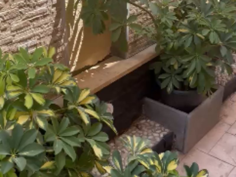 3BR Duplex | Private Garden | El Shorouk thumbnail