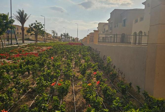 64382480 - صورة العقار 3