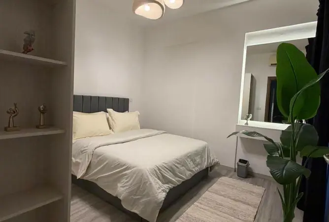 116494771 - Property Image 3