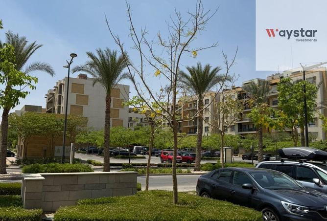 100077578 - صورة العقار 2