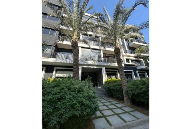 57488606 - صورة العقار 3