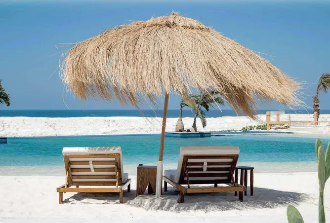 79451500 - صورة العقار 3