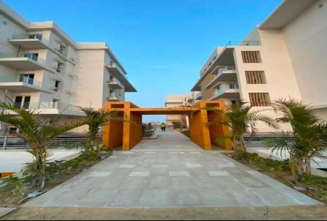 8715438 - صورة العقار 3