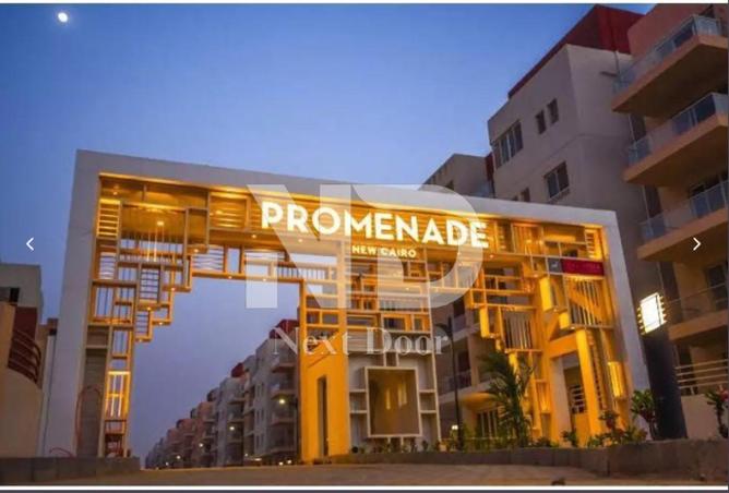 55999484 - Property Image 3