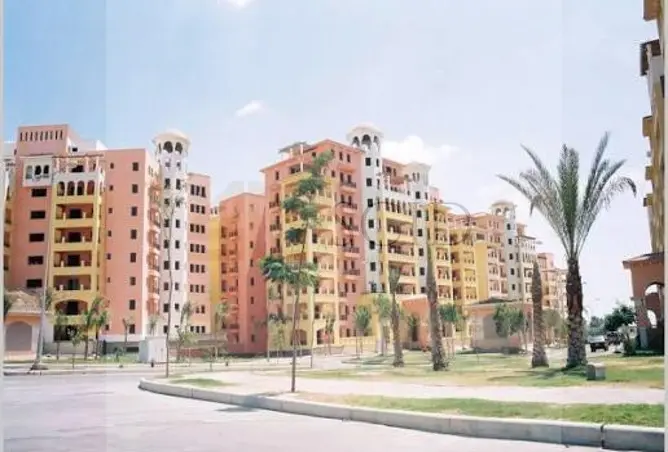115717064 - Property Image 3