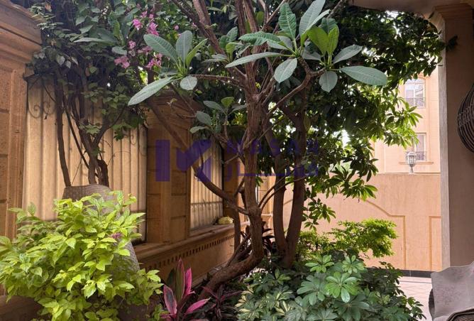 8571136 - Property Image 2