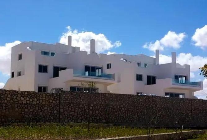 66167308 - Property Image 3