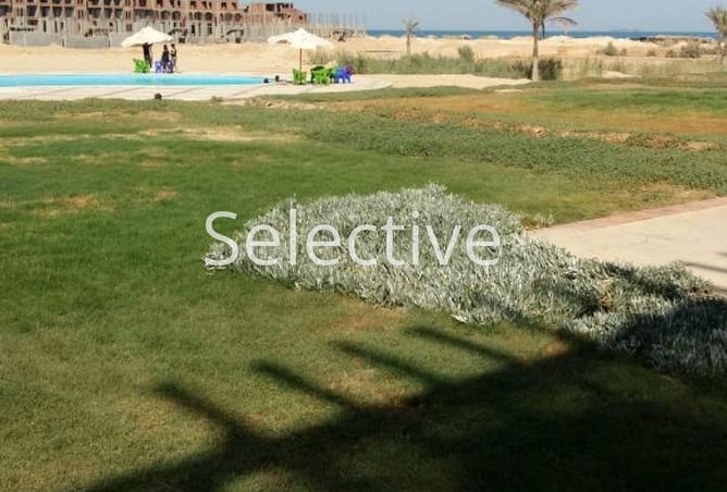 65910230 - صورة العقار 2