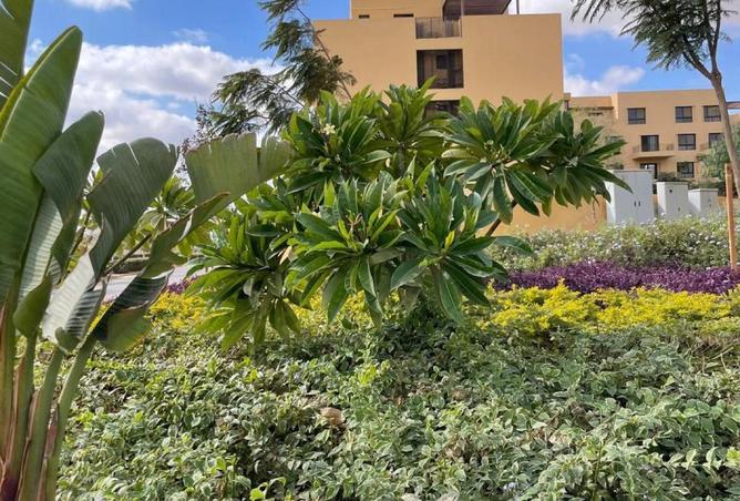 60959784 - صورة العقار 3