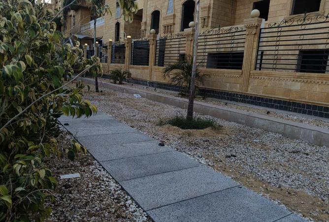 66427277 - صورة العقار 3