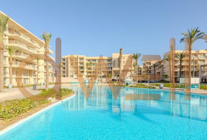 54507245 - Property Image 3