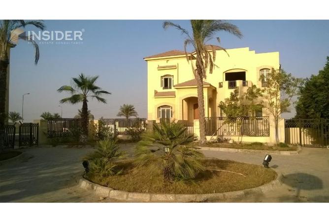 8432656 - صورة العقار 2