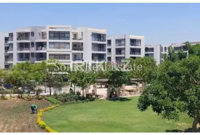 65662779 - Property Image 3