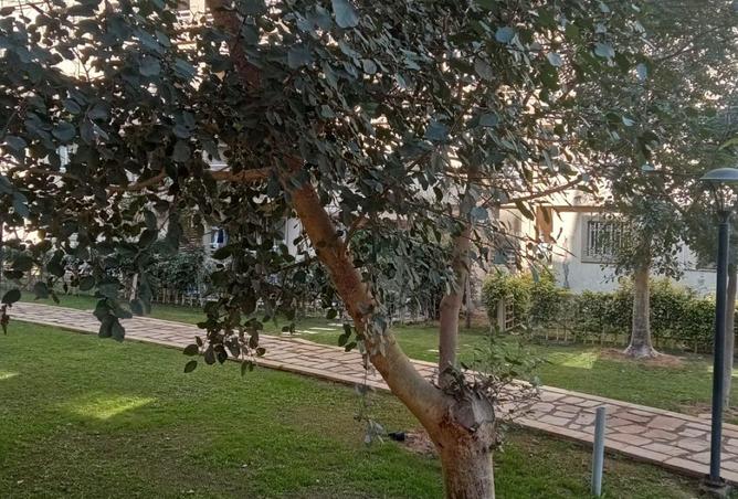 63885046 - صورة العقار 2