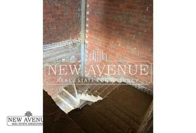 54748367 - Property Image 3