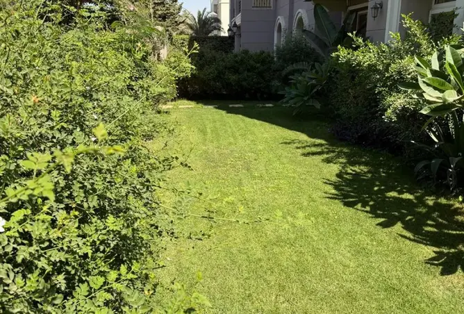 117262868 - صورة العقار 2