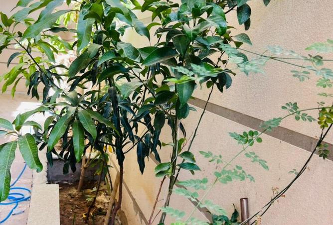 59498840 - Property Image 3