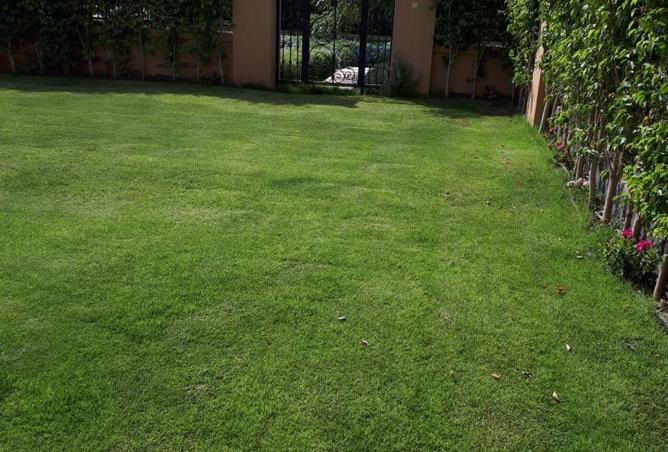 75128141 - Property Main Image