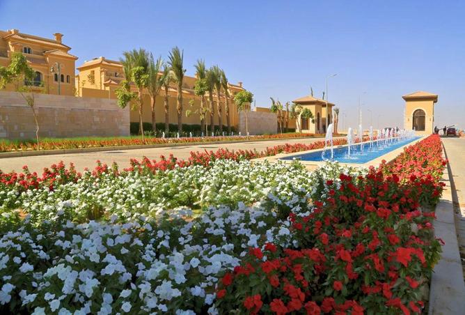 65924007 - صورة العقار 2