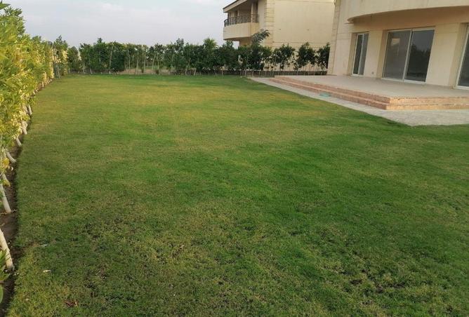 68537039 - صورة العقار 2