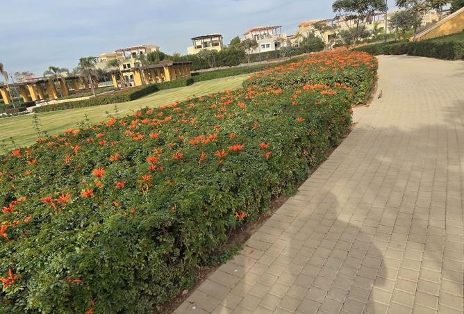 53986199 - صورة العقار 3