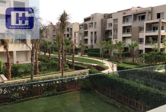 59745247 - Property Image 3