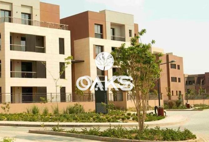 66428241 - Property Image 3