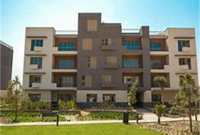 8637289 - Property Image 3