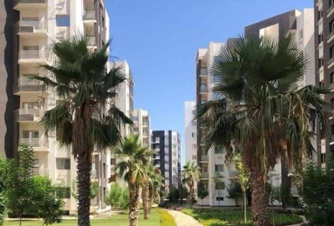 100084801 - Property Image 3