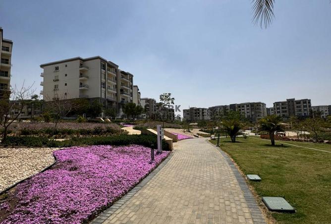 68258677 - Property Image 2