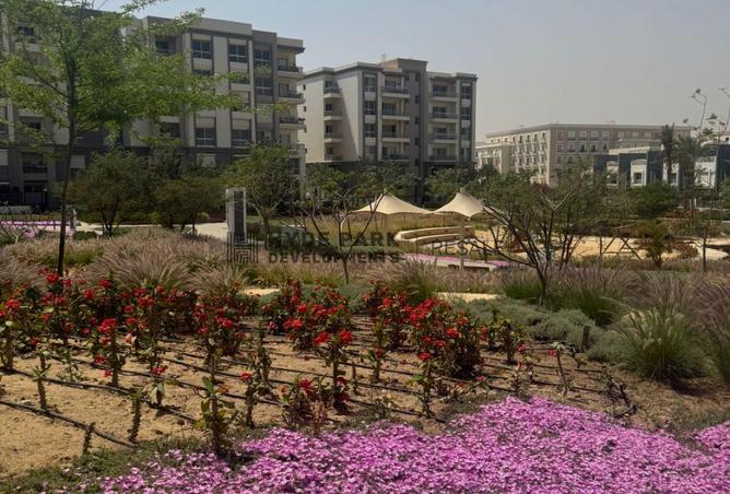 68258677 - Property Main Image