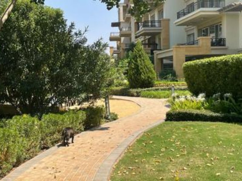 3BR Apartment | Fully Finished | Golf Residences thumbnail
