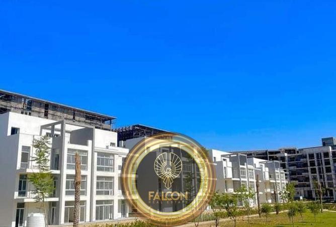 66701305 - Property Image 3