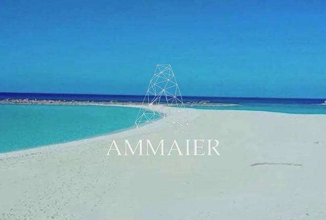 80265032 - صورة العقار 2