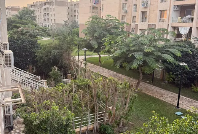 119852987 - صورة العقار 3