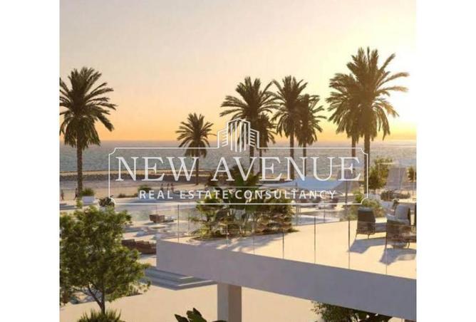 58996026 - الصورة الرئيسية للعقار