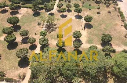 شقة - 3 غرف نوم - 2 حمامات للبيع في شارع افريقيا - امتداد مصطفي النحاس - المنطقة التاسعة - مدينة نصر - القاهرة