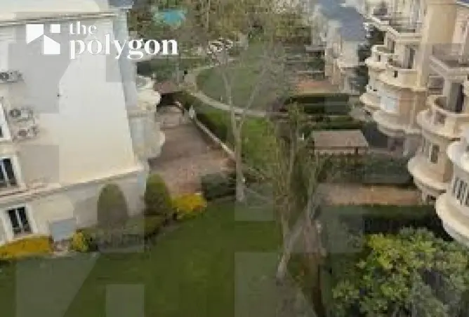 115159968 - Property Image 3