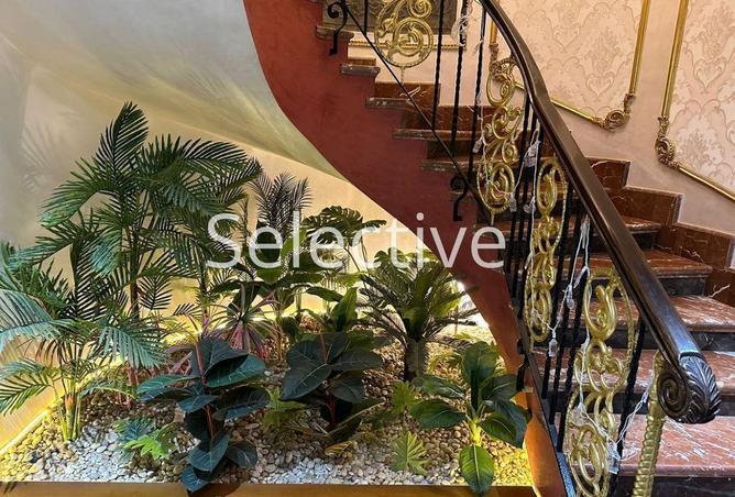 64637581 - Property Image 3