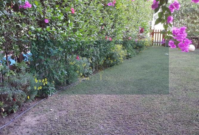 59237022 - الصورة الرئيسية للعقار