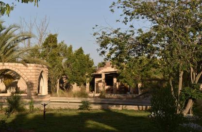Villa - 6 Bedrooms - 5 Bathrooms for sale in European Countryside - Cairo Alexandria Desert Road - 6 October City - Giza
