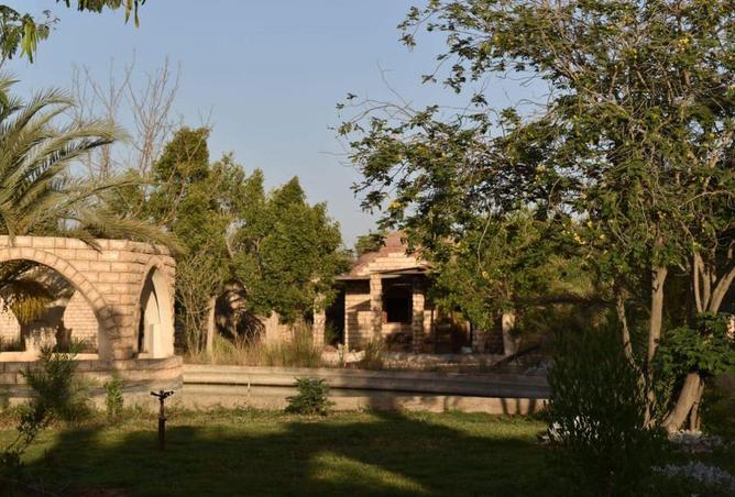 68002537 - صورة العقار 3