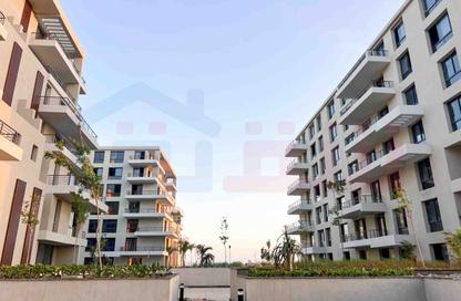 Apartment - 4 Bedrooms - 2 Bathrooms for sale in Palm Hills - Alexandria Compounds - Alexandria