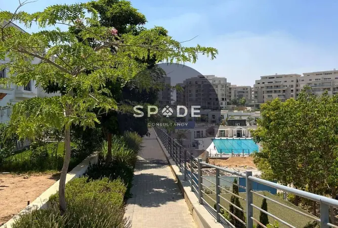 116496238 - Property Image 3