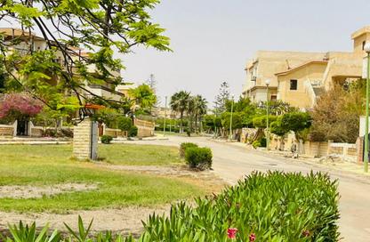 Chalet - 3 Bedrooms - 2 Bathrooms for sale in Lotus - Al Alamein - North Coast