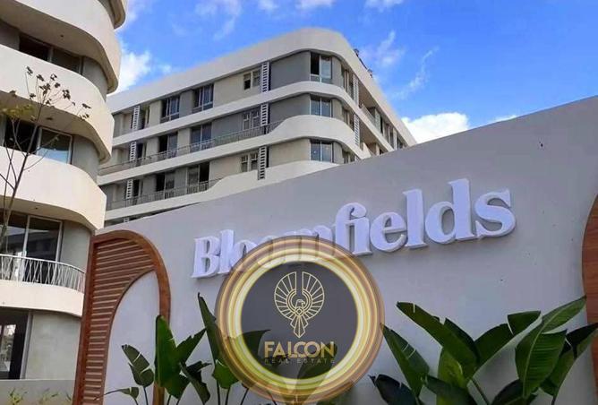 53983524 - الصورة الرئيسية للعقار