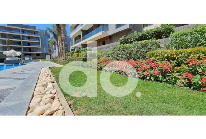 68006503 - صورة العقار 3