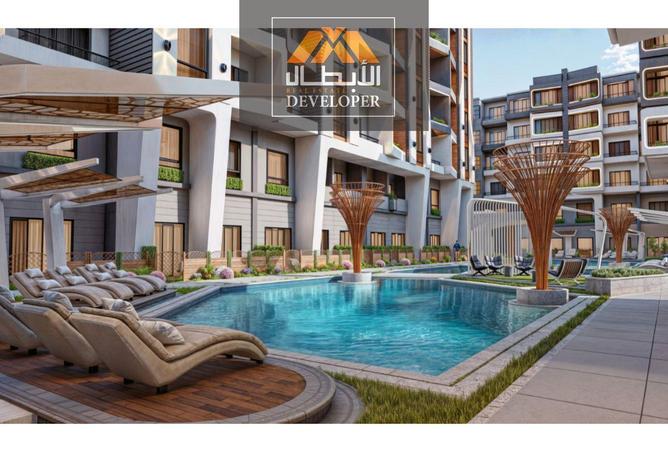 67219822 - Property Image 3