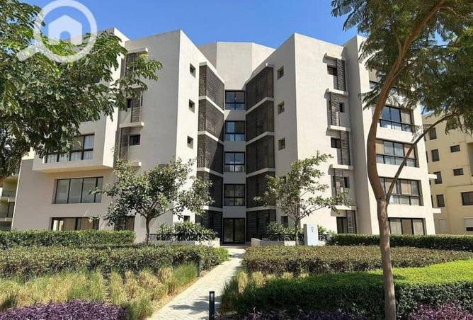 51000029 - صورة العقار 3