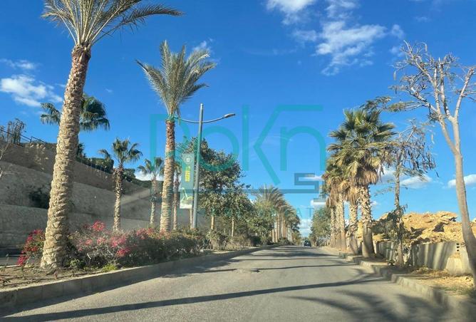 75947322 - صورة العقار 3